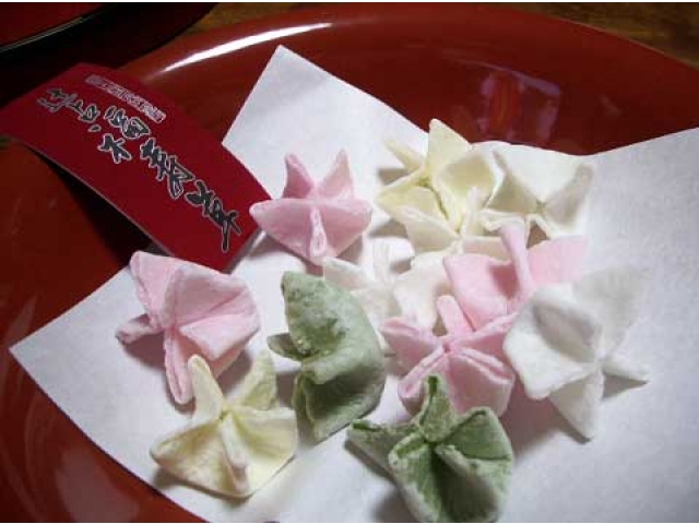 辻占い　福寿草